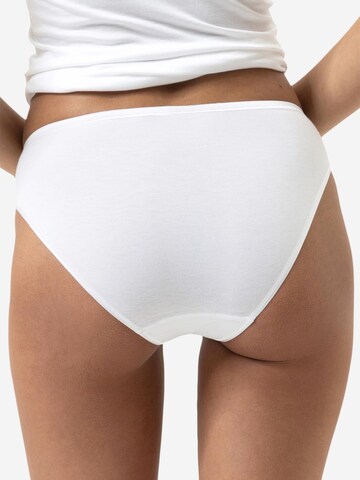 Mey Panty 'Modal Pure' in White