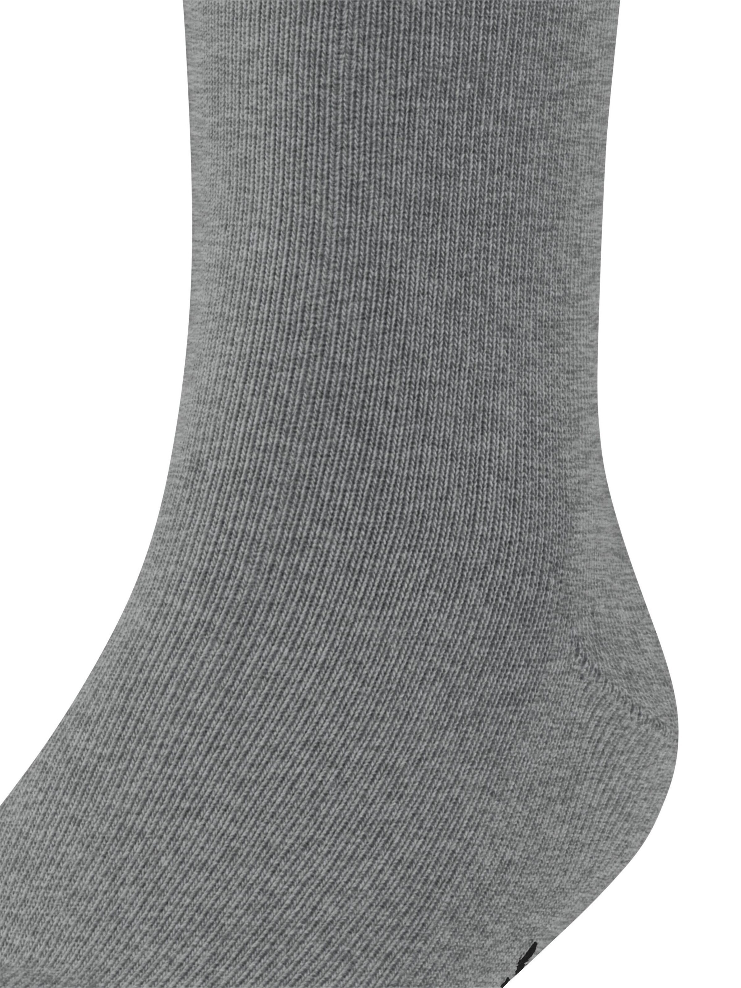 FALKE Socks 'Family' in Grey
