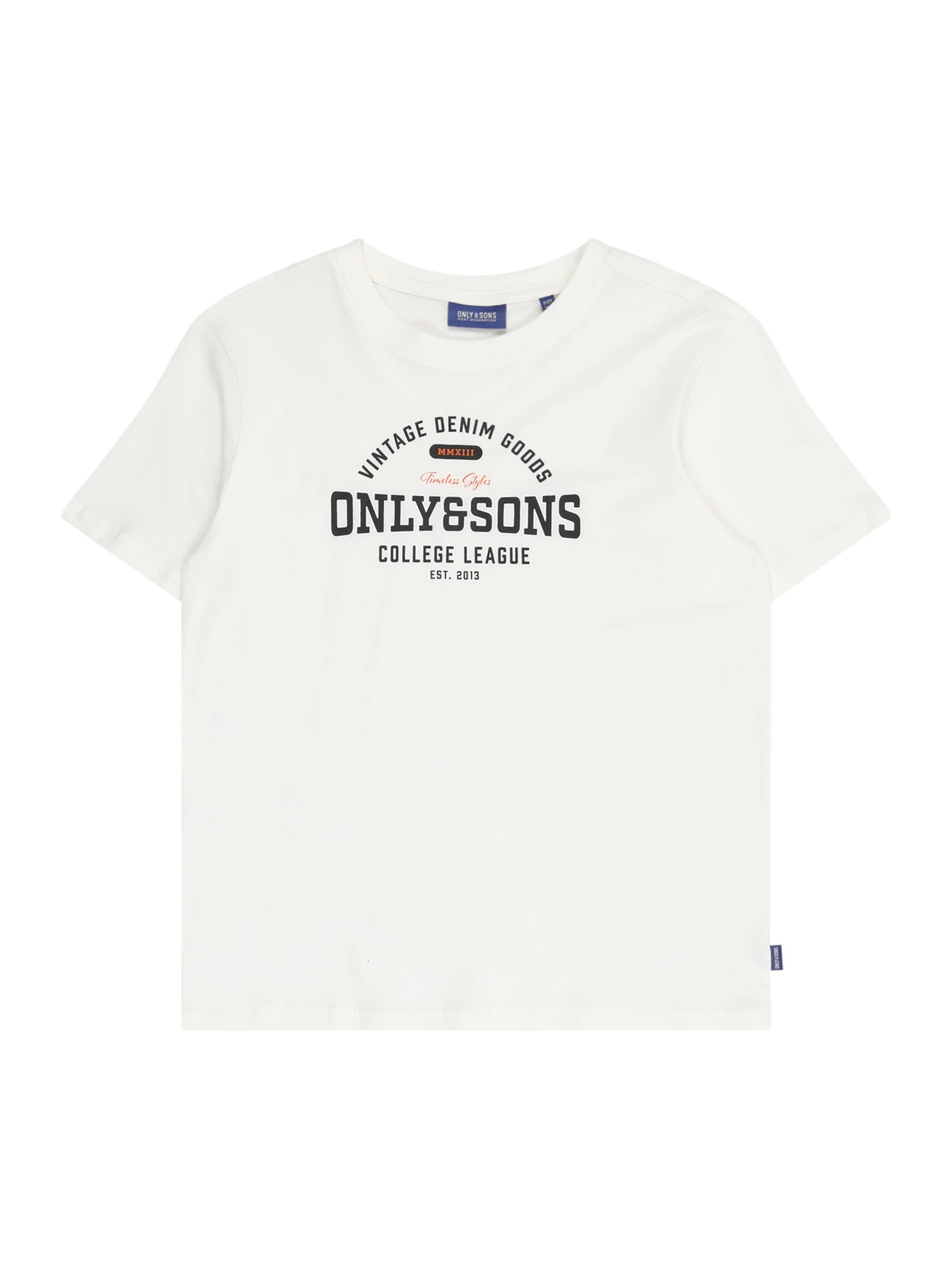 Only & Sons Junior Тениска 'OSJLENNY' в бяло: отпред