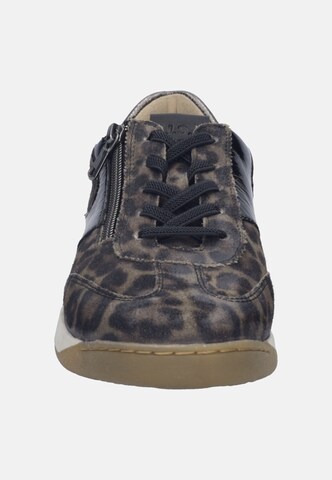 JOSEF SEIBEL Sneaker 'Arleen 04' in Beige