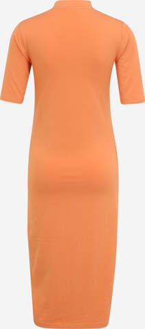 MAMALICIOUS Kleid 'SIA' in Braun