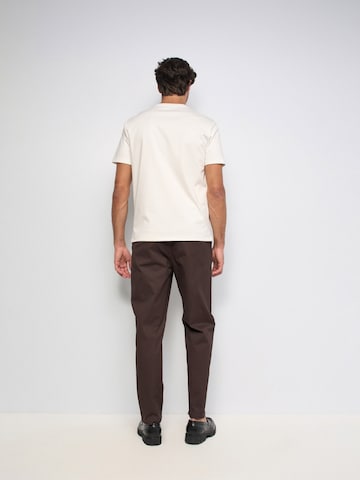 Salsa Jeans Regular Chino in Bruin