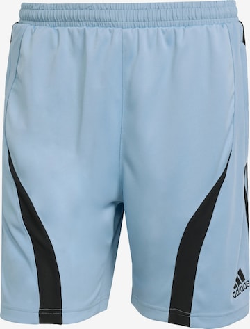 ADIDAS ORIGINALS Штаны 'Teamgeist Adicolor' в Синий: спереди