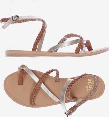 HOLLISTER Sandals & High-Heeled Sandals in 38 in Brown: front