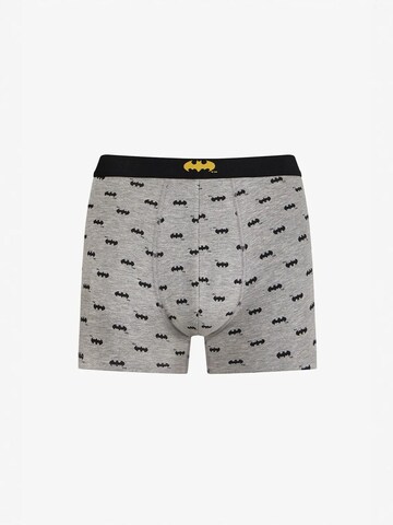 Boxers Penti en mélange de couleurs