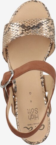 ARA Strap Sandals in Brown