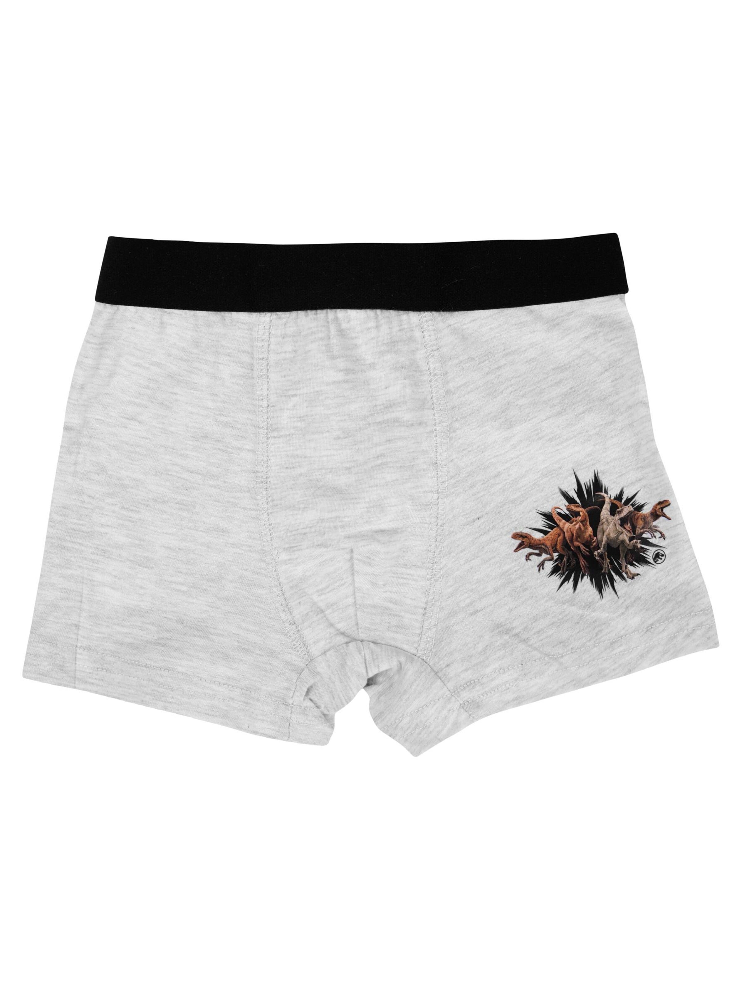 United Labels Underpants 'Jurassic World' in Grey