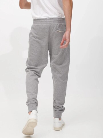 SANVT Regular Pants 'The Perfect Sweatpants' in Grey