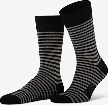 SCHIESSER Socken in Schwarz