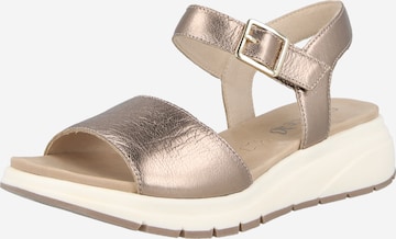 Sandales à lanières CAPRICE en gris : devant