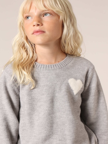 Pull-over 'ADONIS' Deeluxe en gris