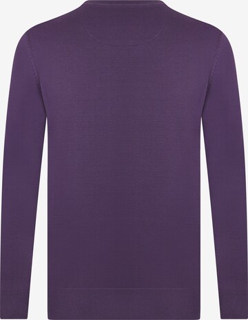 DENIM CULTURE Sweater 'Mathevv' in Purple