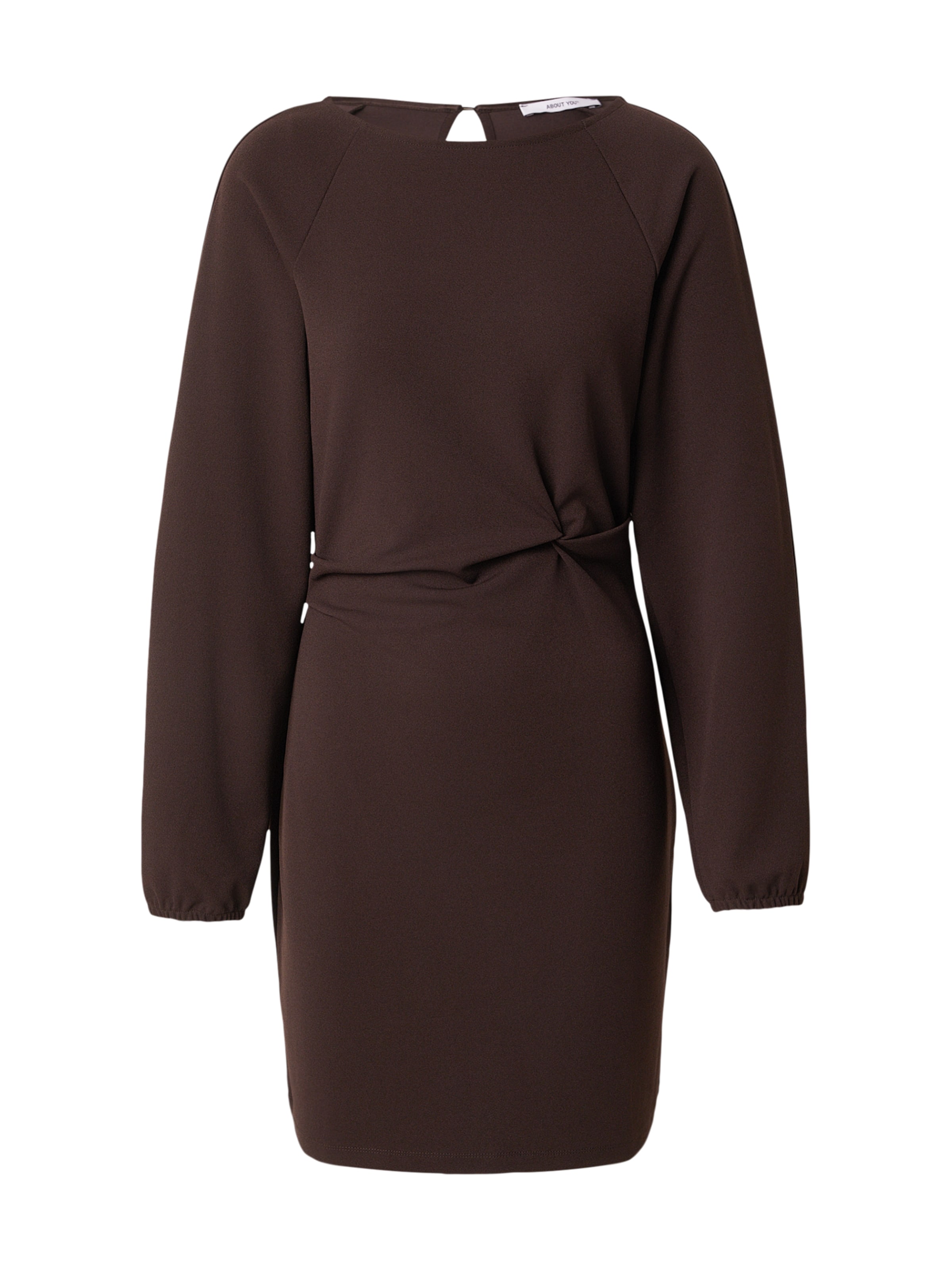 ABOUT YOU Jurk 'Lena' in Bruin: voorkant
