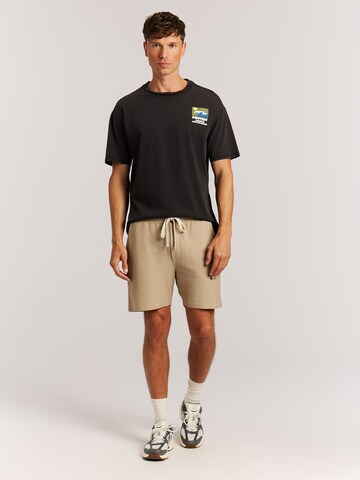 PROTEST Regular Pants 'PRTGraig' in Brown