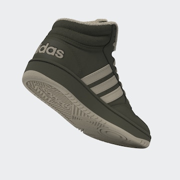 ADIDAS SPORTSWEAR Sportschuh in Grün