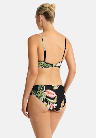 SEA LEVEL Triangel Bikinitop 'Sundown' in Schwarz