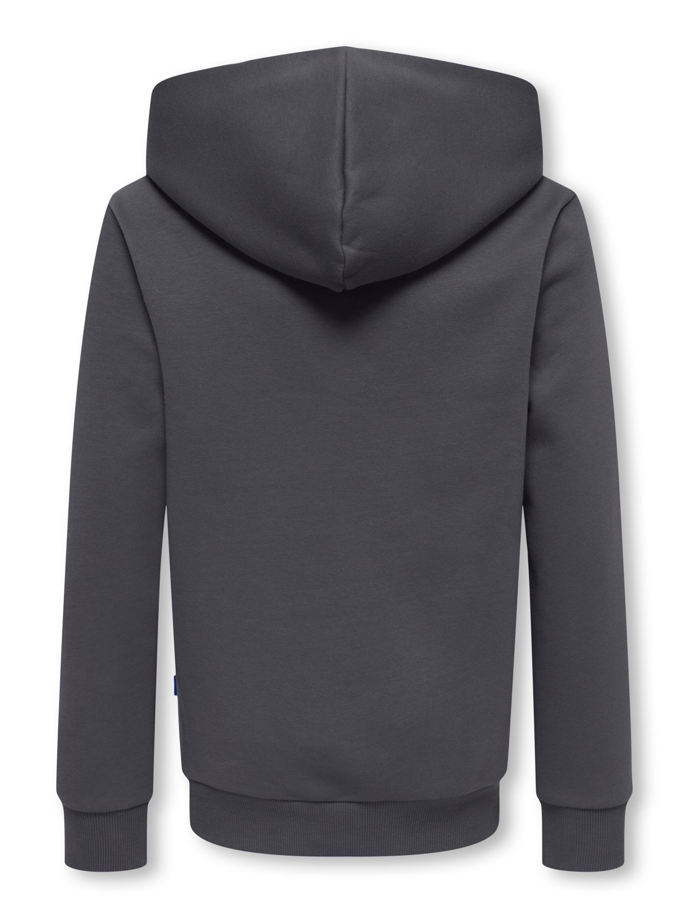 Only & Sons Junior Sweatshirt 'OSJCeres' in Grey