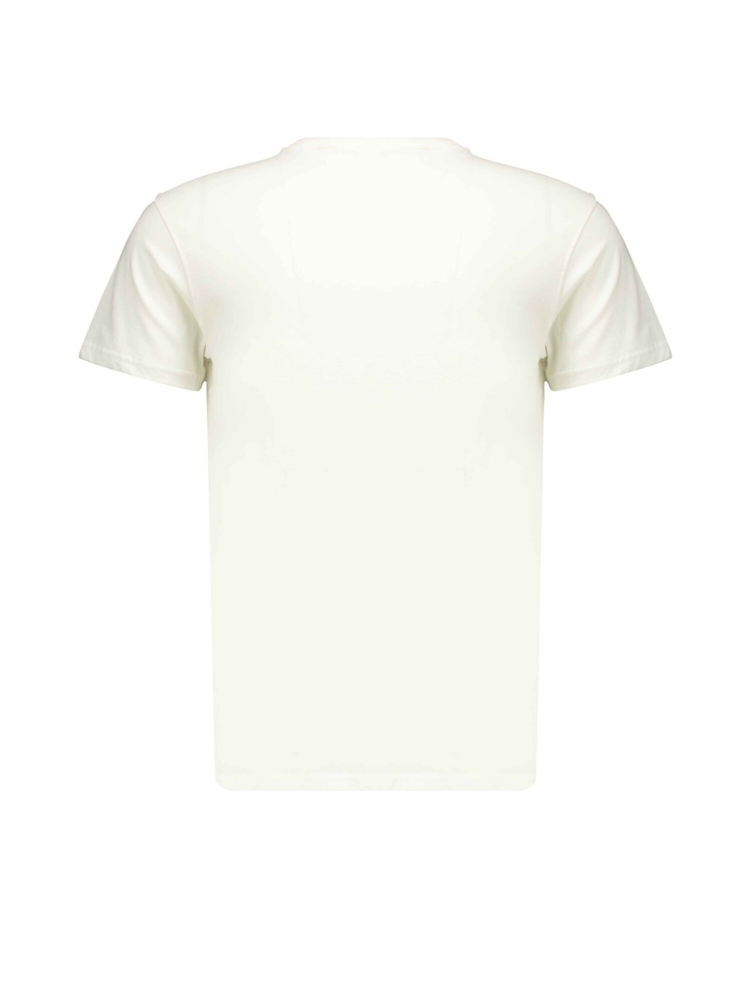 Deeluxe Shirt 'TRUCK ' in Wit