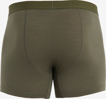 ICEBREAKER - Boxers 'Anatomica' em verde