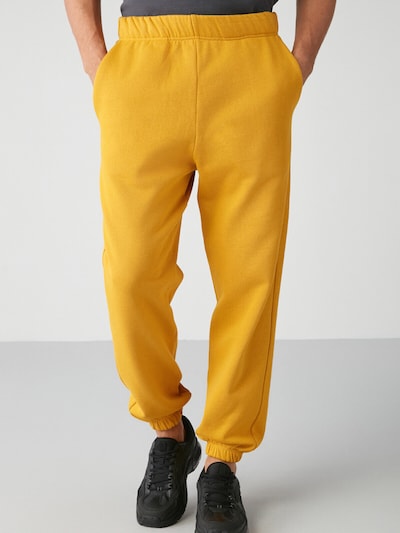 Grimelange Pantalon en safran, Vue avec produit