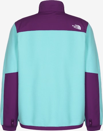 THE NORTH FACE Regular fit Athletic Fleece Jacket 'Denali 2' in Blue