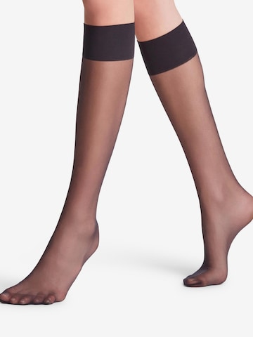 FALKE Knee High Socks 'Pure Matt' in Black: front