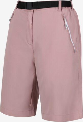 REGATTA Regular Outdoor Pants 'Xert It' in Pink