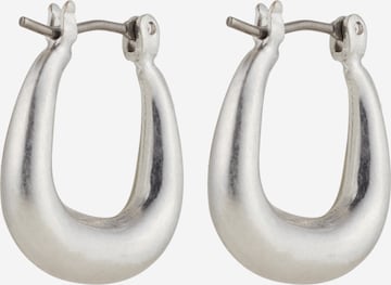 AllSaints Ohrringe in Silber: predná strana