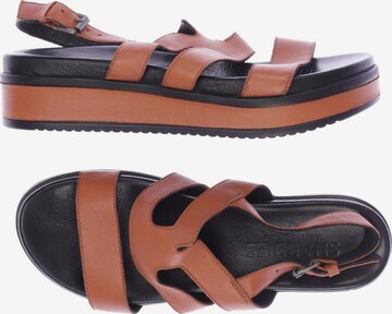 SHABBIES AMSTERDAM Sandalen 41 in Orange: predná strana