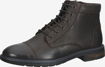 GEOX Chukka Boots in Braun: front