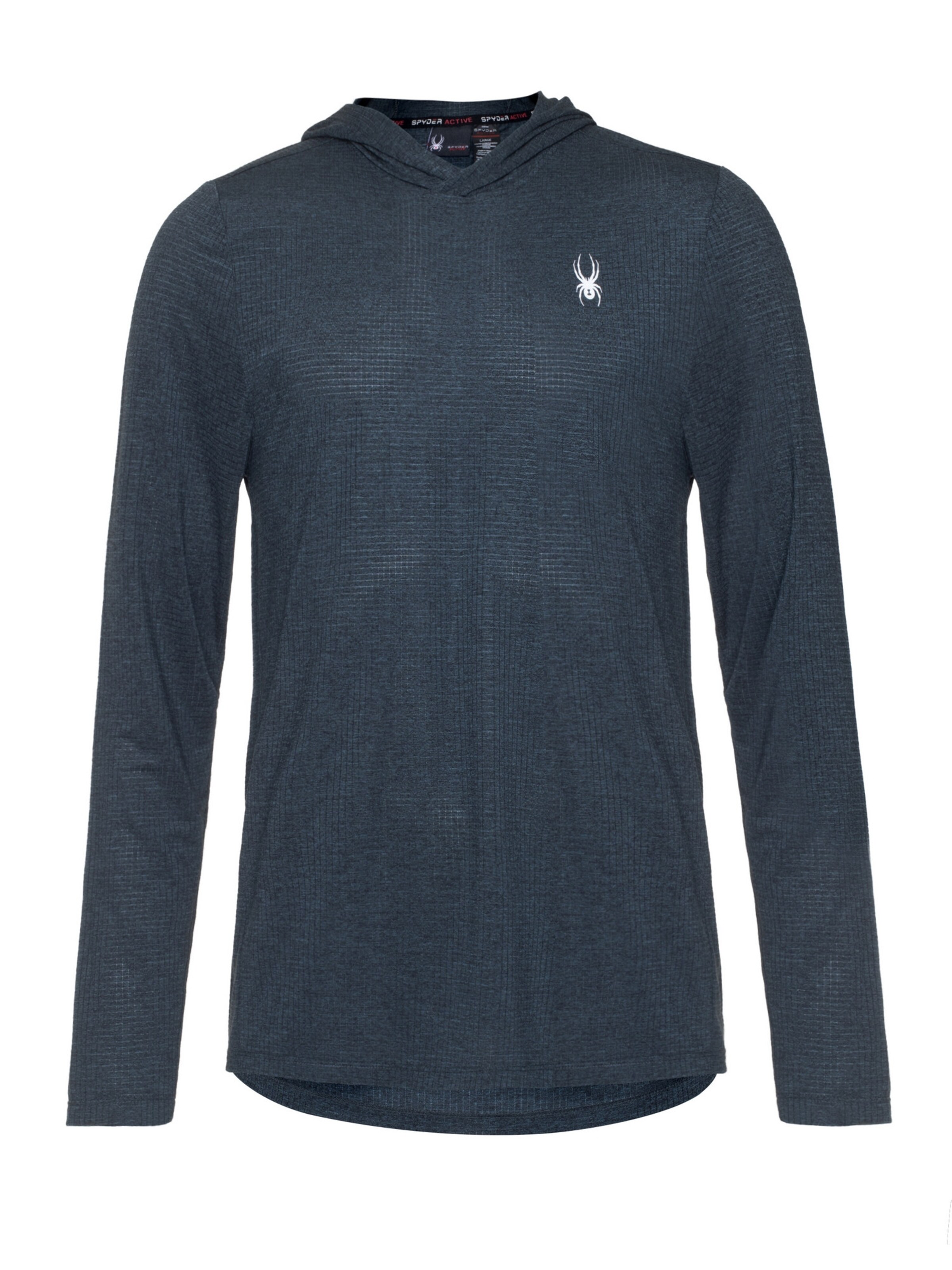 Spyder Αθλητική μπλούζα φούτερ σε γκρι: μπροστά