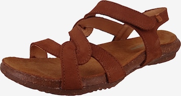 EL NATURALISTA - Sandálias de trekking em castanho: frente