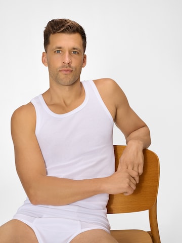 Maillot de corps ' Organic Doppelripp ' Ammann en blanc