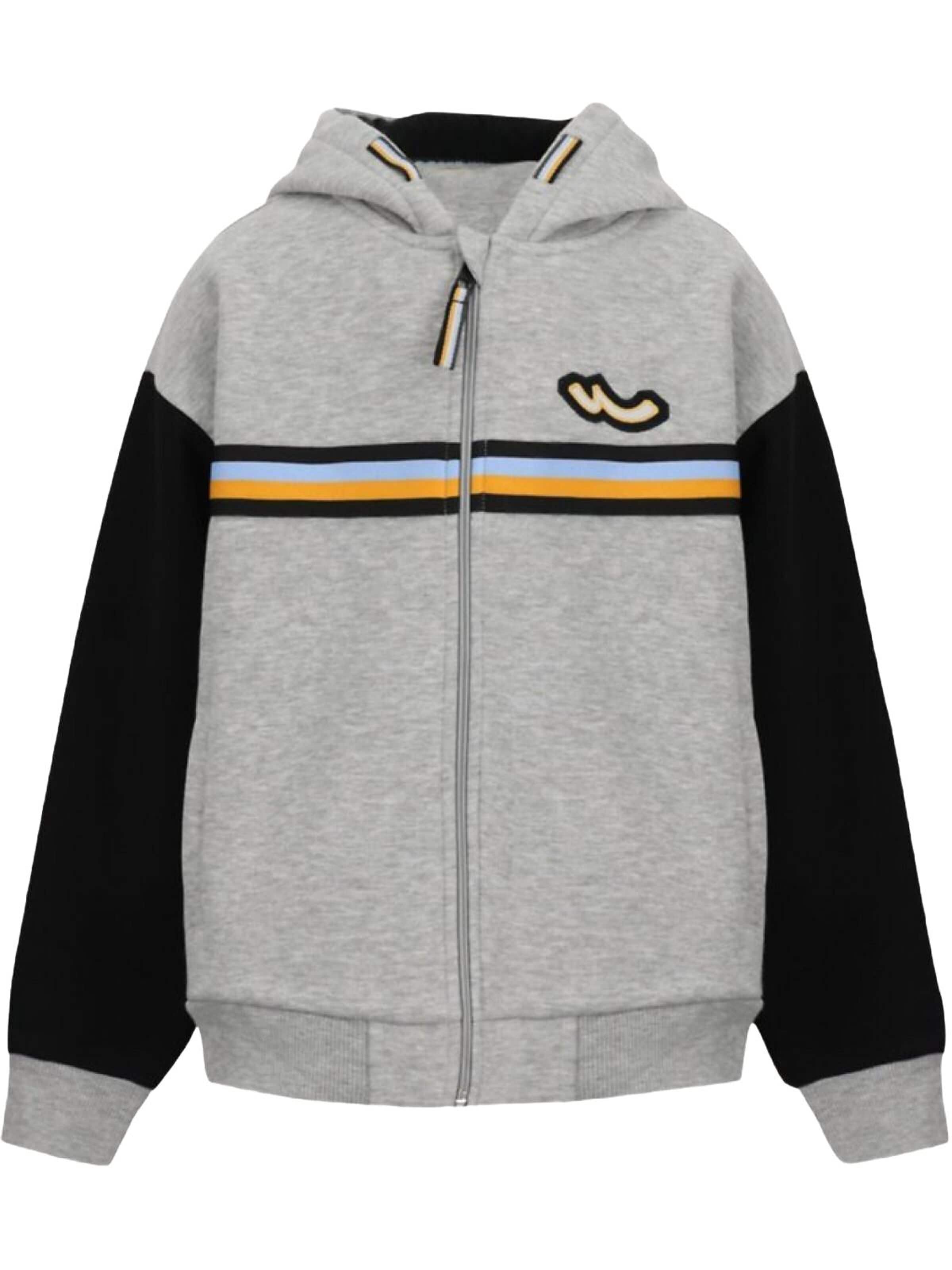 LTB Jeans - Sudadera con cremallera 'Sweatshirt' en gris: frente