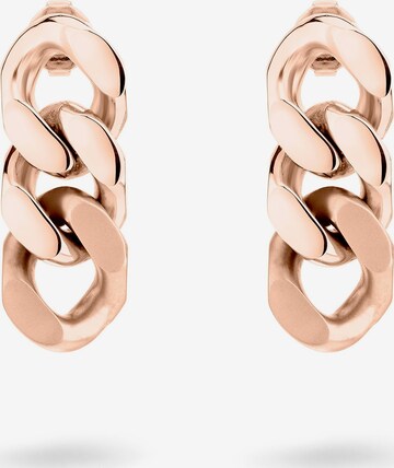 Liebeskind Berlin Earrings in Gold: front