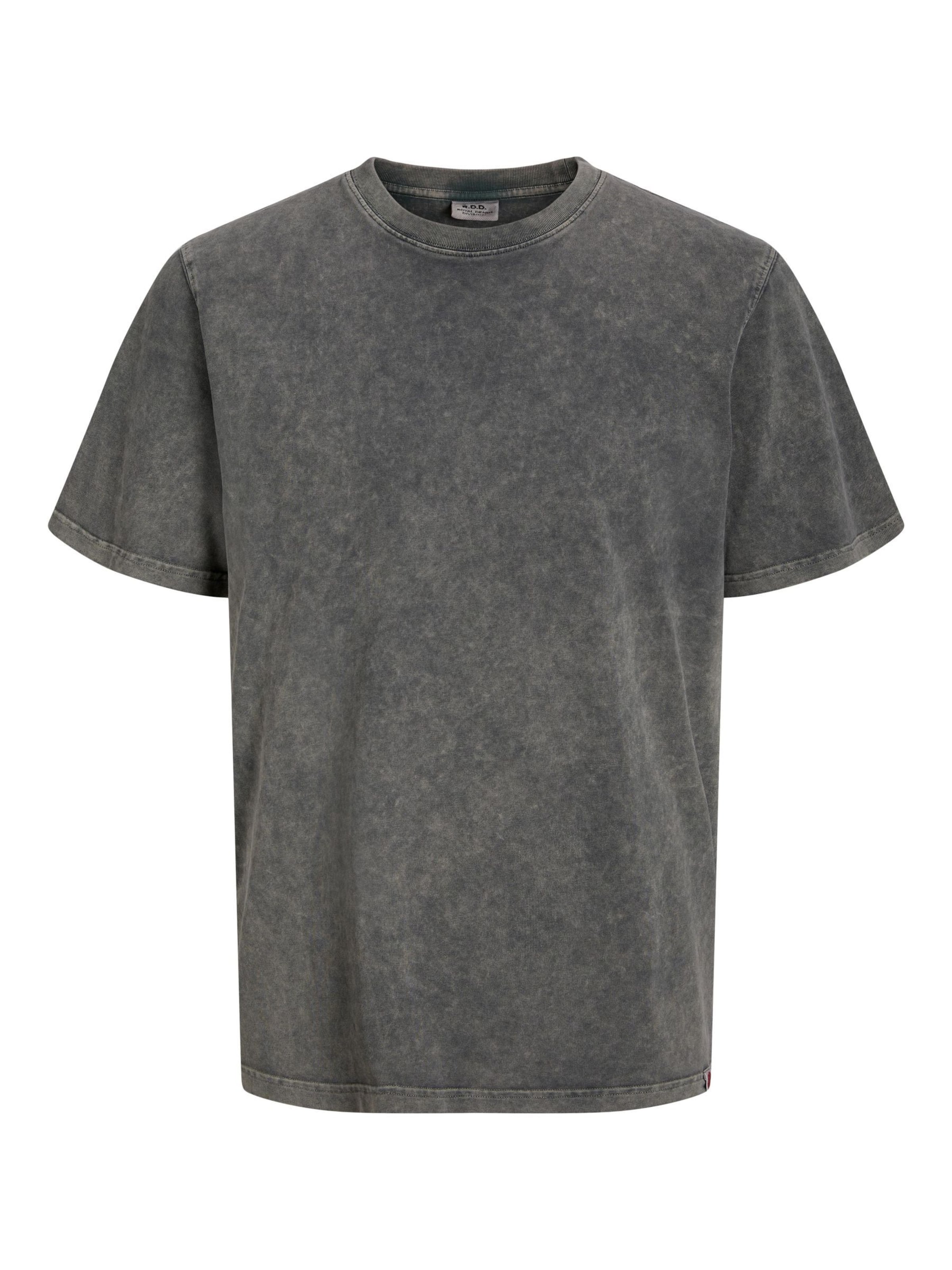 T-Shirt 'RDDGARY' R.D.D. ROYAL DENIM DIVISION en gris : devant