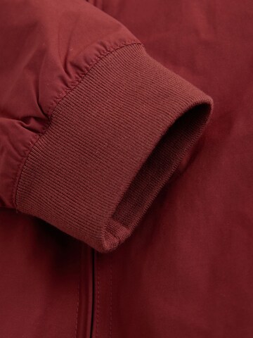 Next Tussenjas in Rood