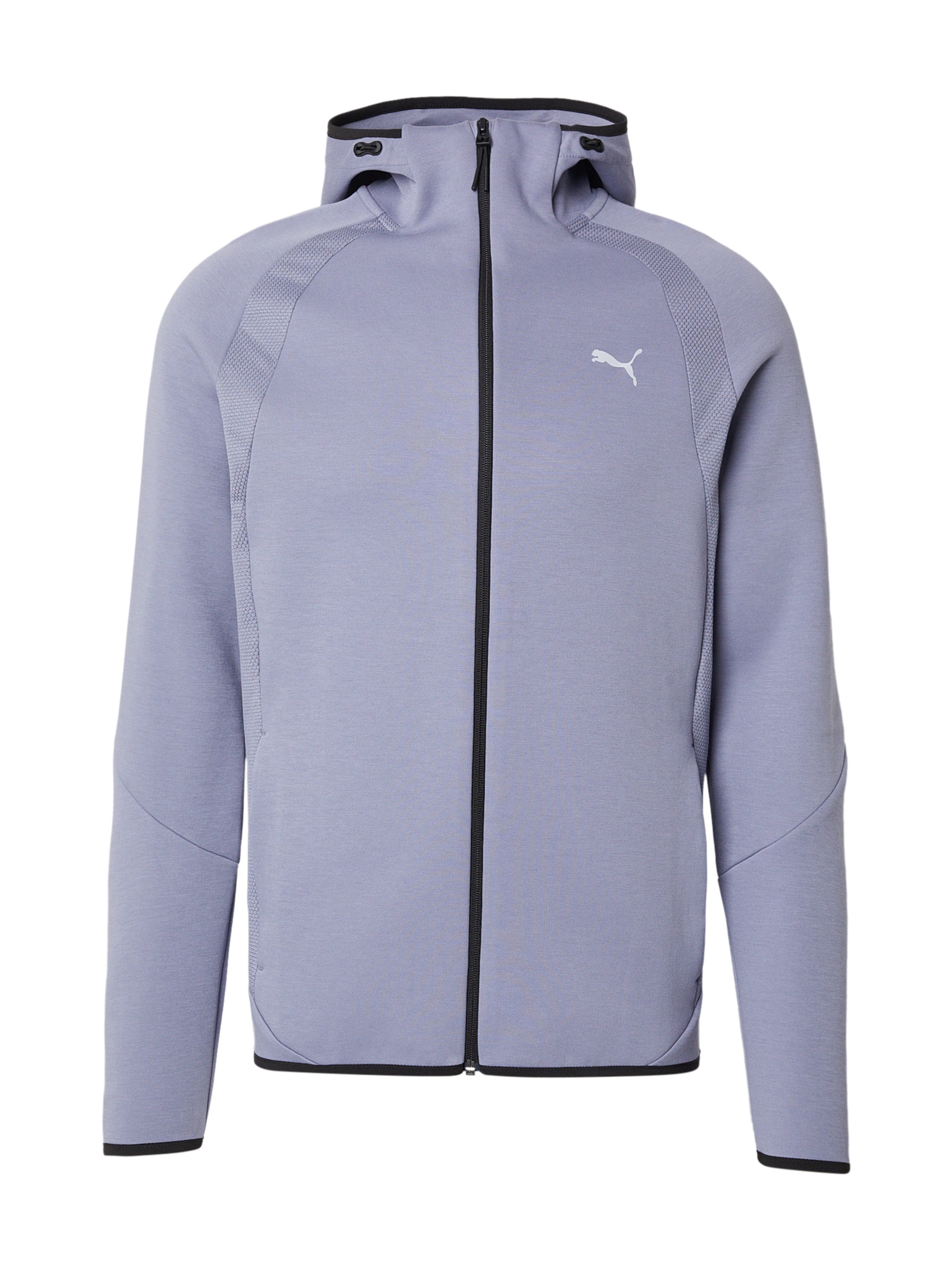 Bluză cu fermoar sport 'Evostripe' de la PUMA pe albastru: față