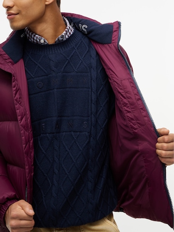 Tommy Jeans Winter Jacket 'Essential' in Purple