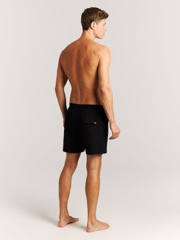 PROTEST Board Shorts 'PRTIgapo' in Black