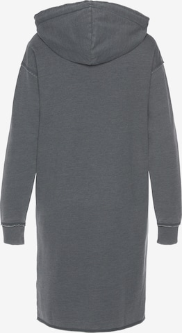 Herrlicher Sweatshirt in Grau