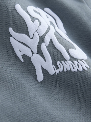 smALLSAINTS T-shirt 'Orlando' i grå