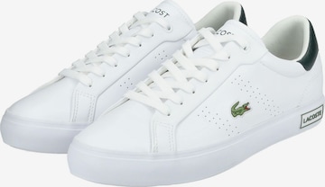 Sneaker bassa 'Powercourt' di LACOSTE in bianco