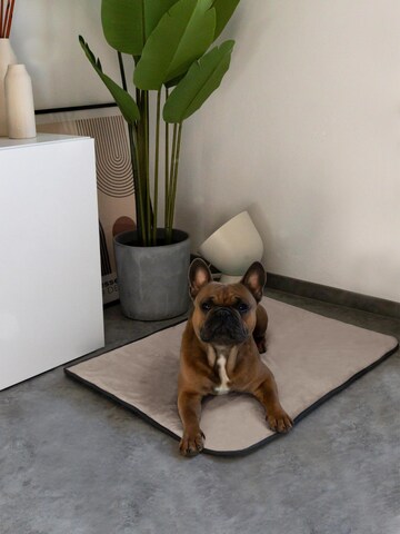 Aspero Pet accessories 'Hanko Und Lund' in Beige