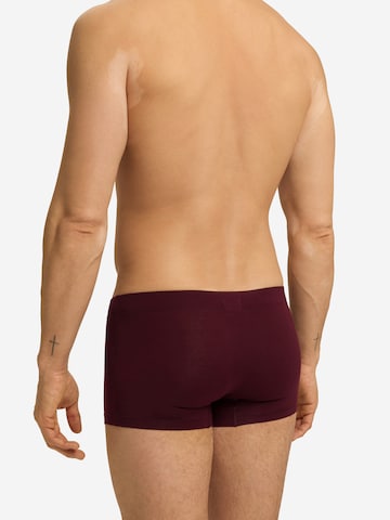 Hanro Boxer shorts 'Essentials' in Blue
