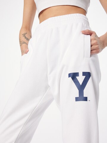 Tapered Pantaloni di Champion Authentic Athletic Apparel in bianco