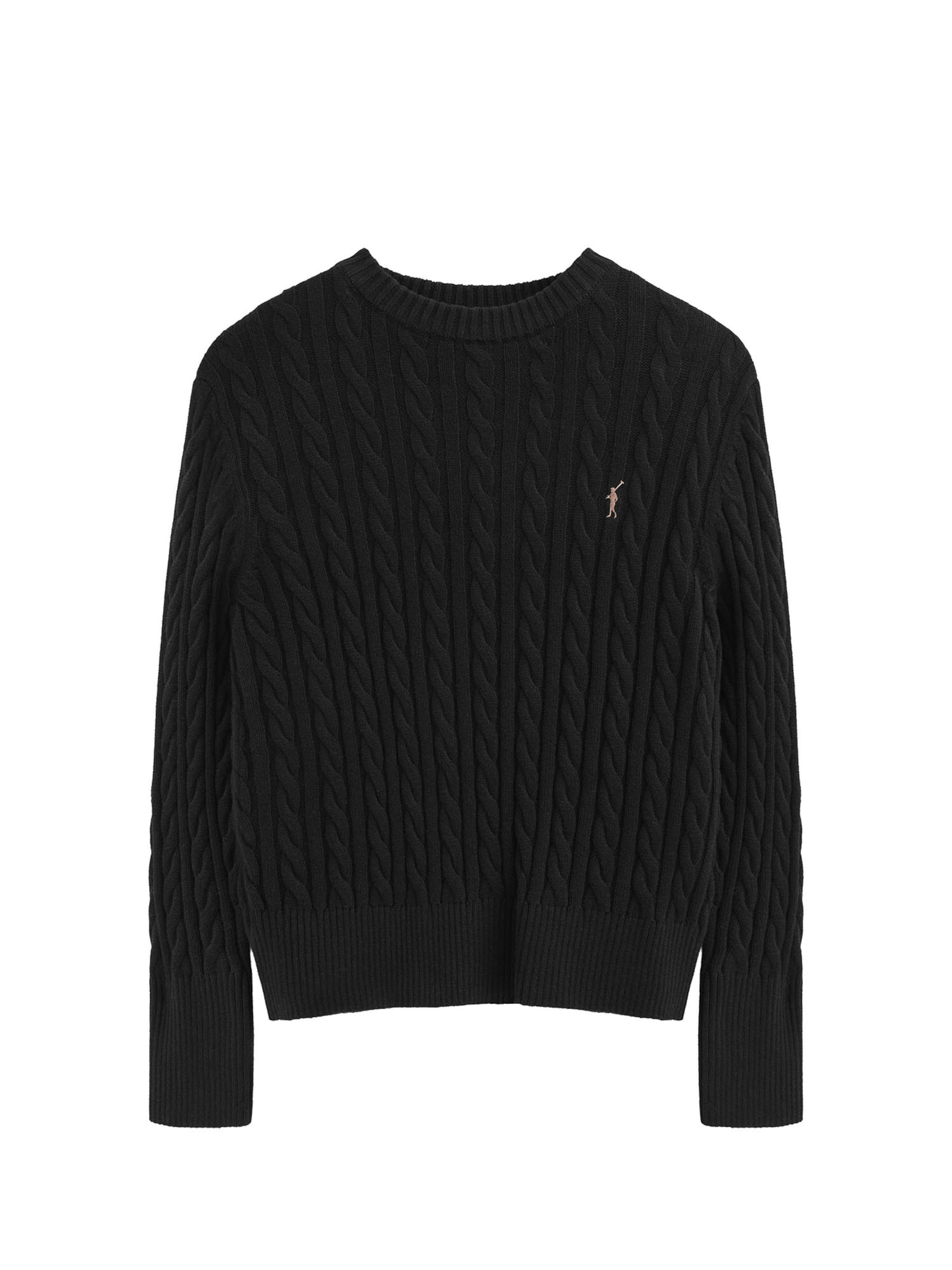 Polo Club Sweater in Black: front
