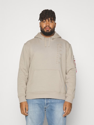 smėlio ALPHA INDUSTRIES Megztinis be užsegimo: priekis