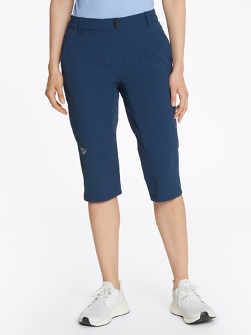 ZIENER Regular Workout Pants 'NESTLA' in Blue: front