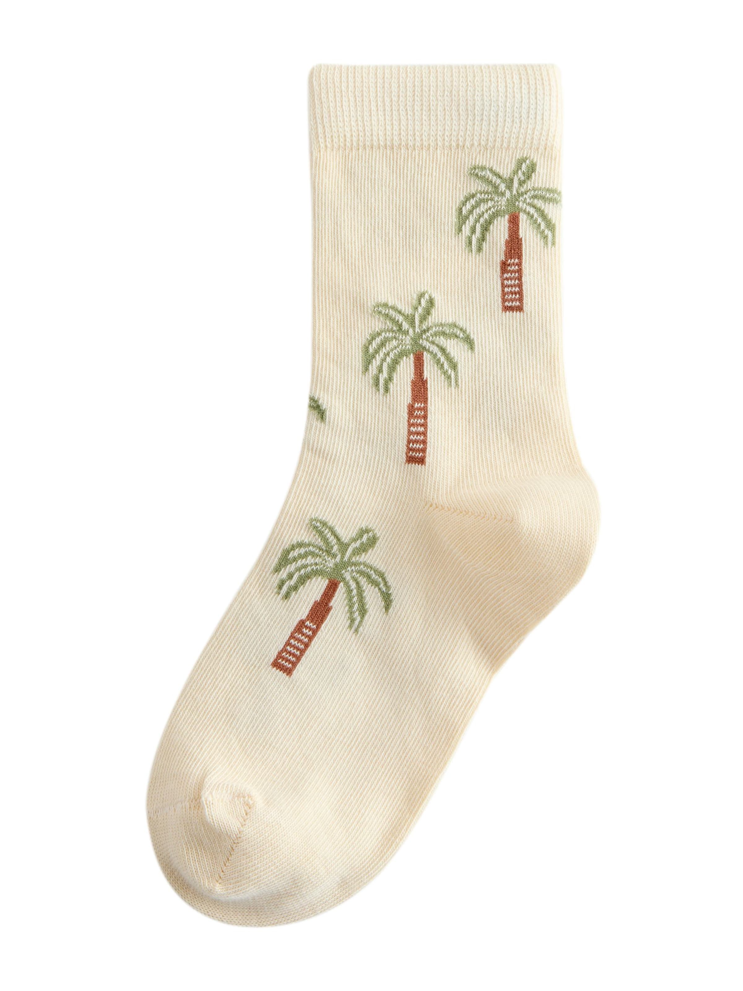 Next Socks in Mixed colours